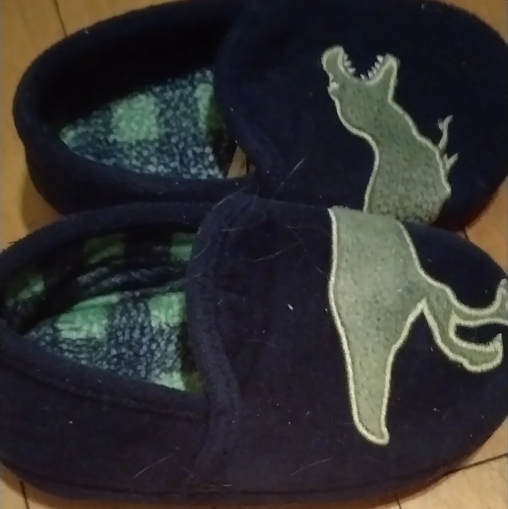 Wonder Nation Kids Dinosaur Slippers - Navy and Green